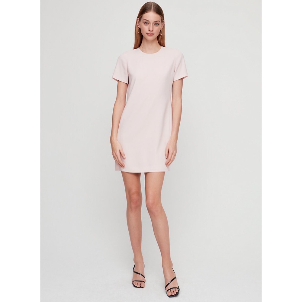 Wilfred Pale Pink Mini Dress